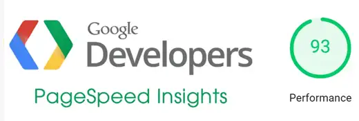 Google Developer page speed tool